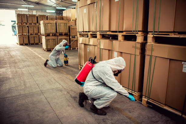 Best Cockroach Control Services  in Cameron, WI