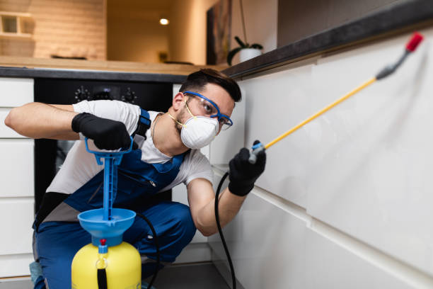 Best Best Pest Control Companies  in Cameron, WI