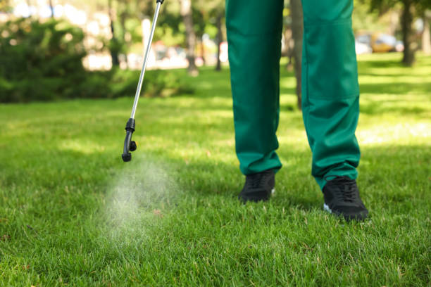 Best Cockroach Control Services  in Cameron, WI
