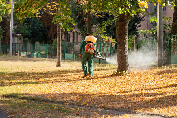 Best Bed Bug Extermination  in Cameron, WI