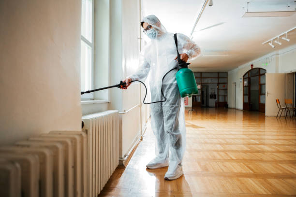 Flea Control Services in Cameron, WI