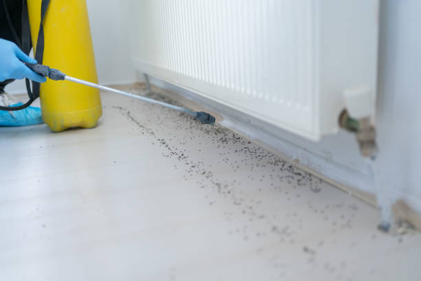 Best Exterminator Services  in Cameron, WI